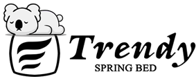 Trendy Spring Bed